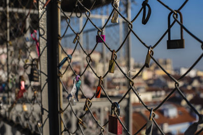 Close-up of chainlink fence