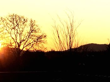 Silhouette bare trees against clear sky at sunset