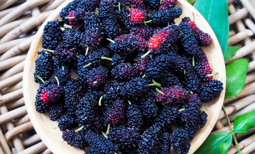 High angle view of blackberries growing in container