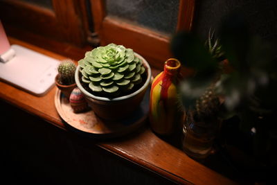 Close-up of potted plant on table