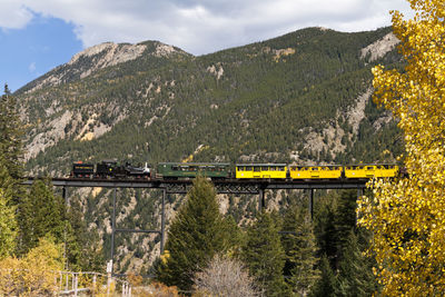 Train by trees on mountain against sky