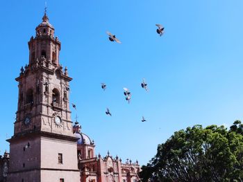 Low angle view of birds flying against clear blue sky