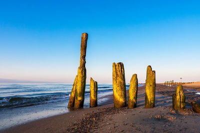 Wooden posts on beach against clear blue sky