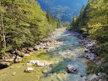 Stream flowing through rocks in forest