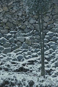 High angle view of snow covered field