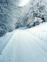 Snow covered road amidst trees during winter