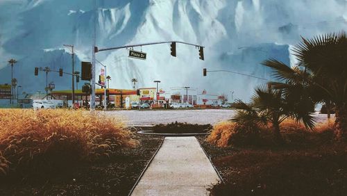 View of trees against sky