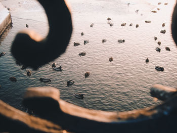 High angle view of people on table