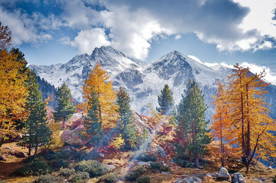 Scenic view of snowcapped mountains against sky during autumn