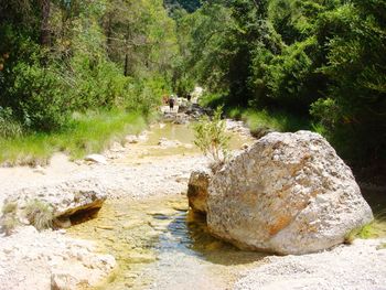 Stream flowing through rocks in forest