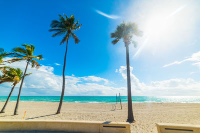 Palm trees on beach against sky