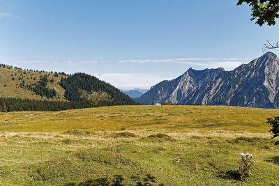 Scenic view of field against sky