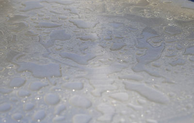 High angle view of raindrops on wet land