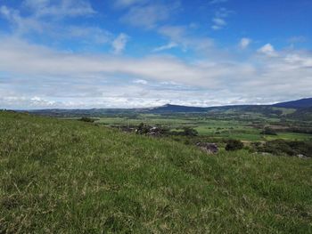 Scenic view of field against sky