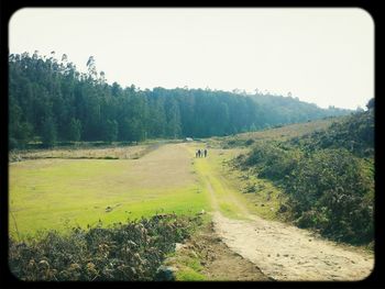 Dirt road passing through landscape