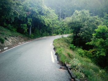 Road amidst trees in forest