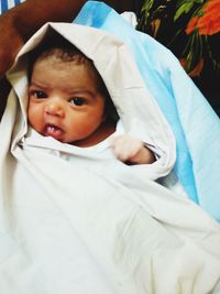 Portrait of cute baby lying on bed