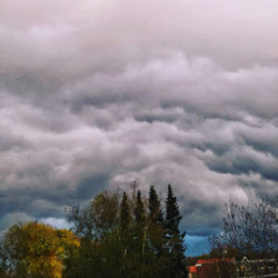 Low angle view of trees against sky