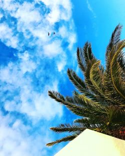 Low angle view of coconut palm tree against blue sky