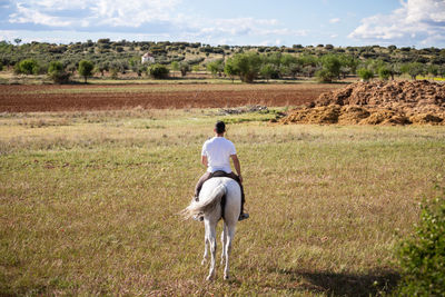 Rear view of man riding horse on field