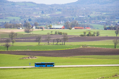 Scenic view of agricultural field
