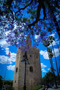 Low angle view of trees and building against sky