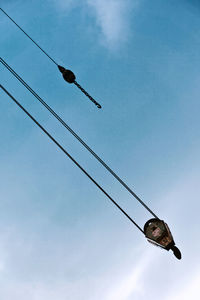 Low angle view of bird flying against sky