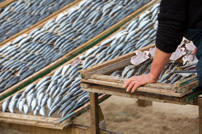 Midsection of woman drying fish at beach