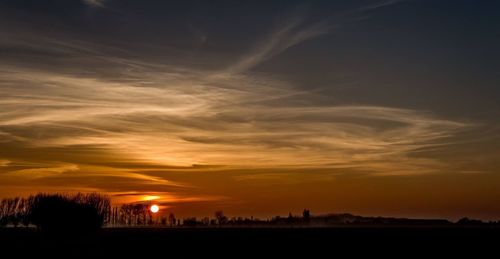 Silhouette of trees at sunset