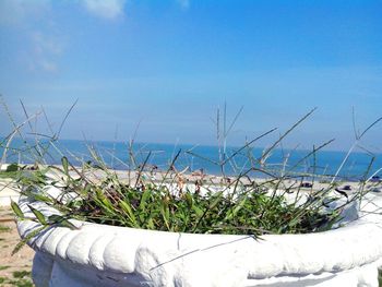 Scenic view of sea against blue sky