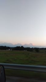 Scenic view of field against clear sky