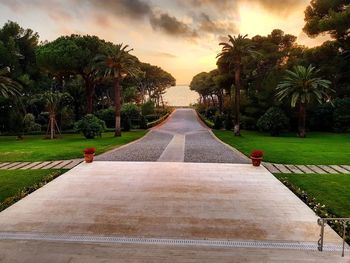 Scenic view of palm trees against sky