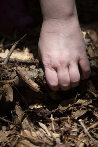 Close-up of human feet on field