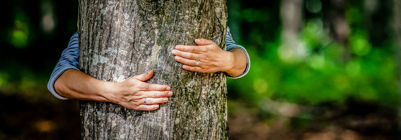 Midsection of man standing by tree trunk