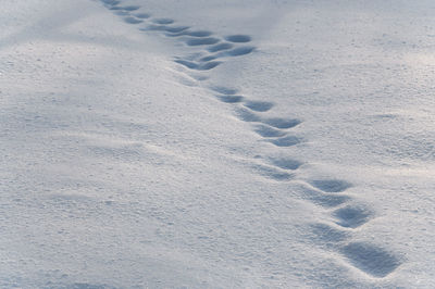 High angle view of footprints on snow covered field