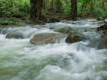 Scenic view of waterfall in forest