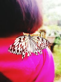 Close-up of butterfly on red flower