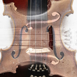 Close-up of violin