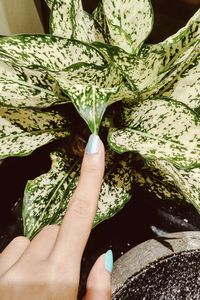 Midsection of woman holding flower