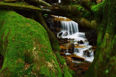 Stream flowing through rocks