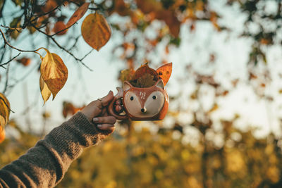 Person holding a mug full of leaves during autumn
