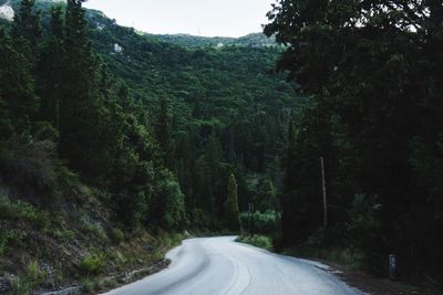 Empty road amidst trees in forest