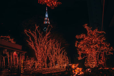 Low angle view of illuminated christmas tree at night