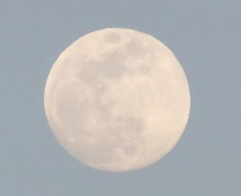 Low angle view of moon in sky