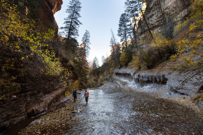 High angle view of people walking on frozen river in forest against sky