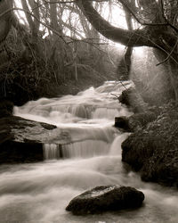 Scenic view of waterfall in forest