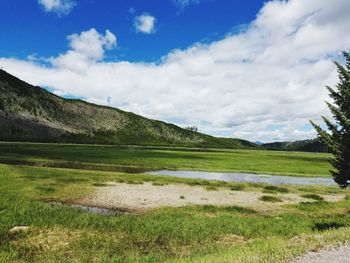 Scenic view of field against sky