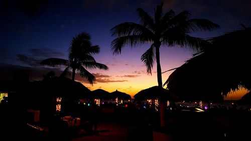 Silhouette palm trees at beach during sunset