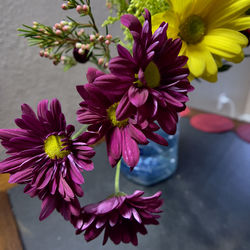 Close-up of pink flower pot