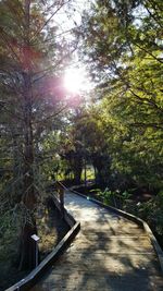 Footpath amidst trees